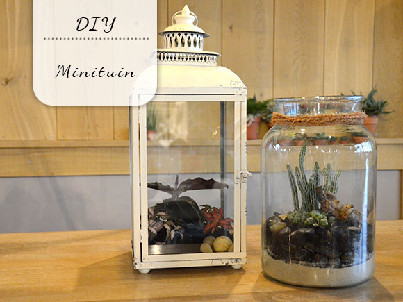 DIY: Minituintjes in huis My Simply Special